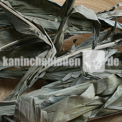 Maisblätter