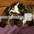 Carepaket für Bruno