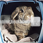 CarePaket für Knut