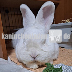 Carepaket für Joschi