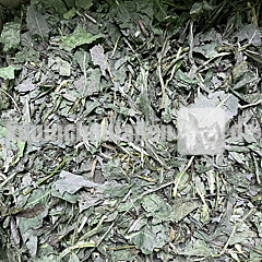 Löwenzahnblätter grob geschnitten