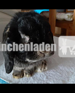 CarePaket für Xaverl